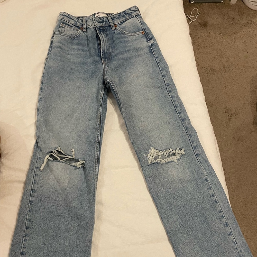 Zara Wide Leg Jean
